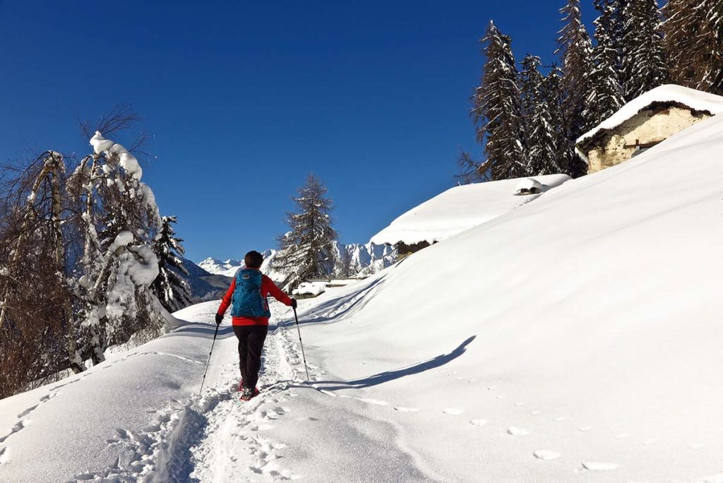 Maggiori informazioni