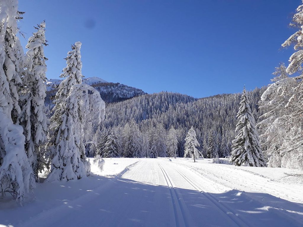 sci fondo arpy monte bianco