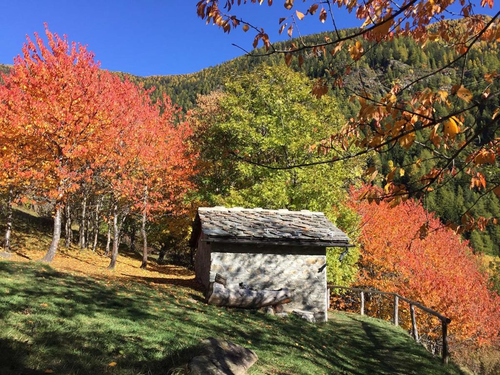 Maggiori informazioni