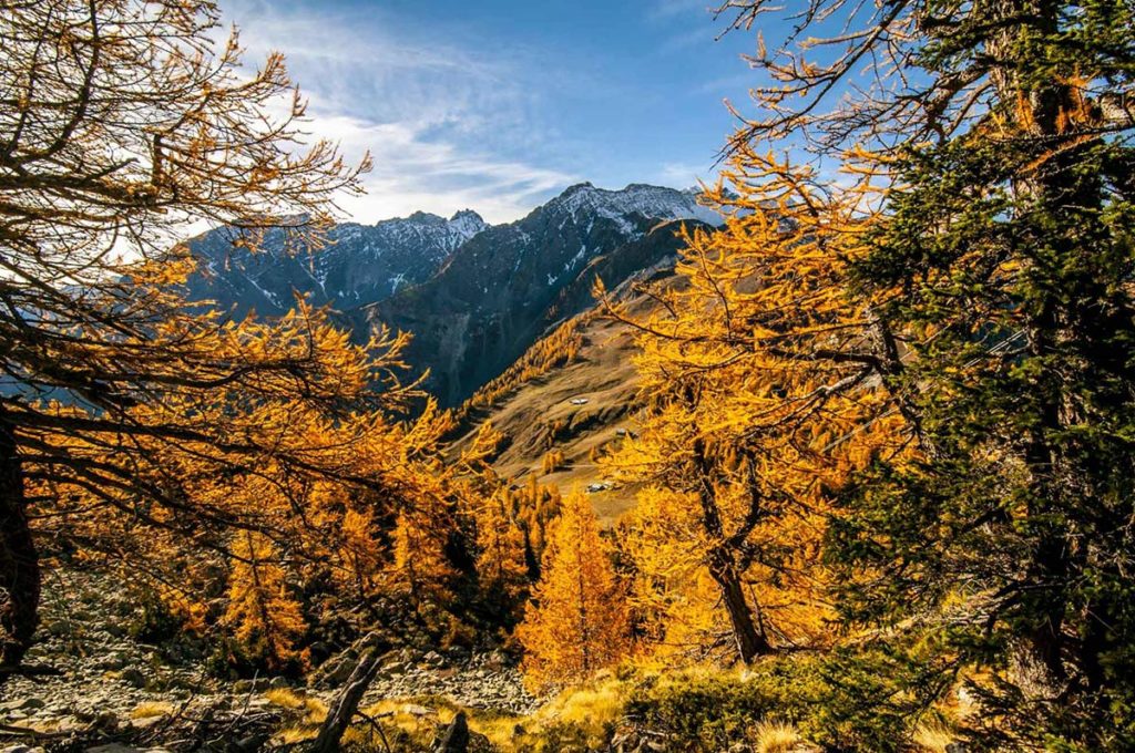 Maggiori informazioni