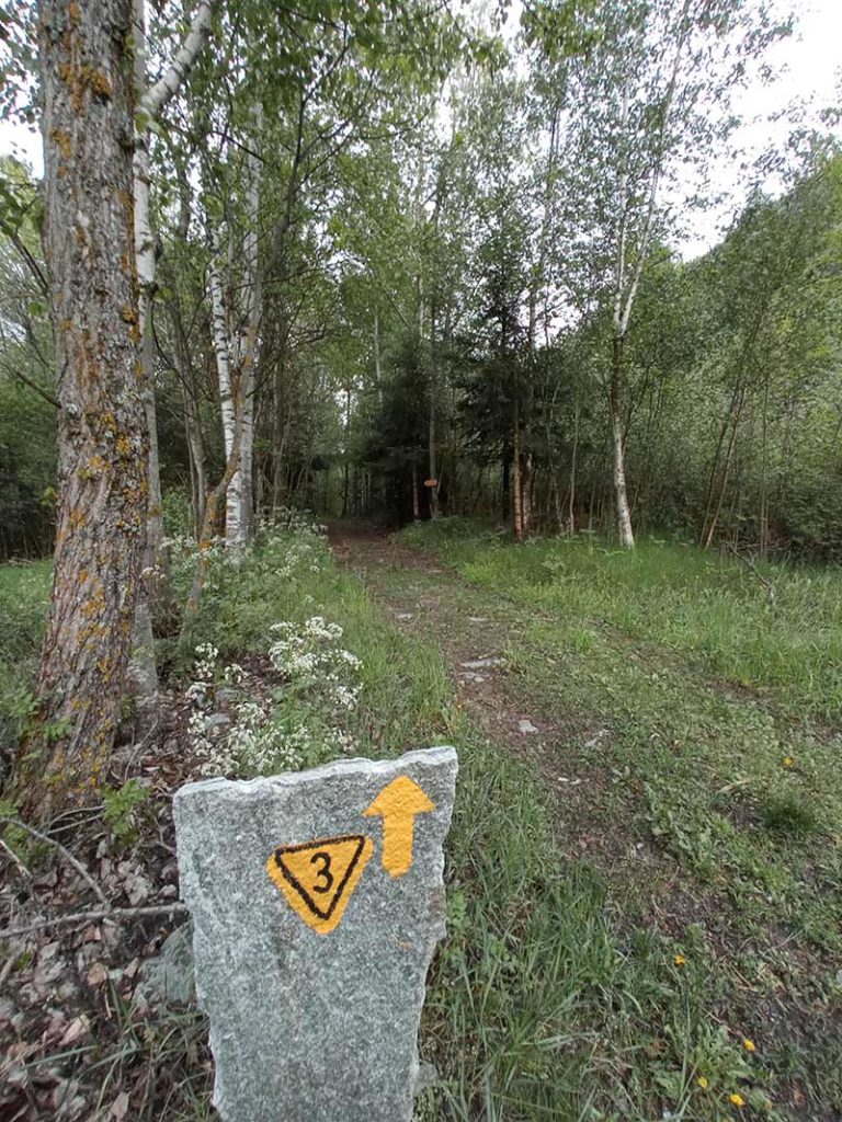 Maggiori informazioni