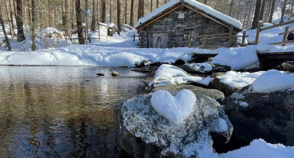 Contest Fotografico a Premi_Cuore di Neve_La Salle