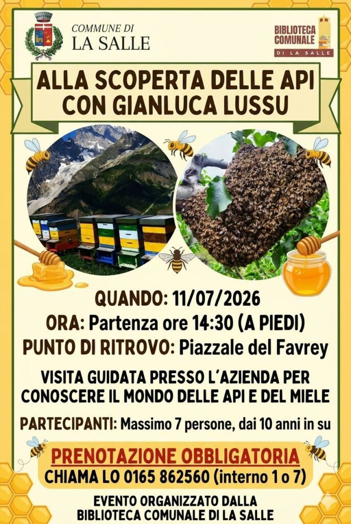Alla scoperta delle api